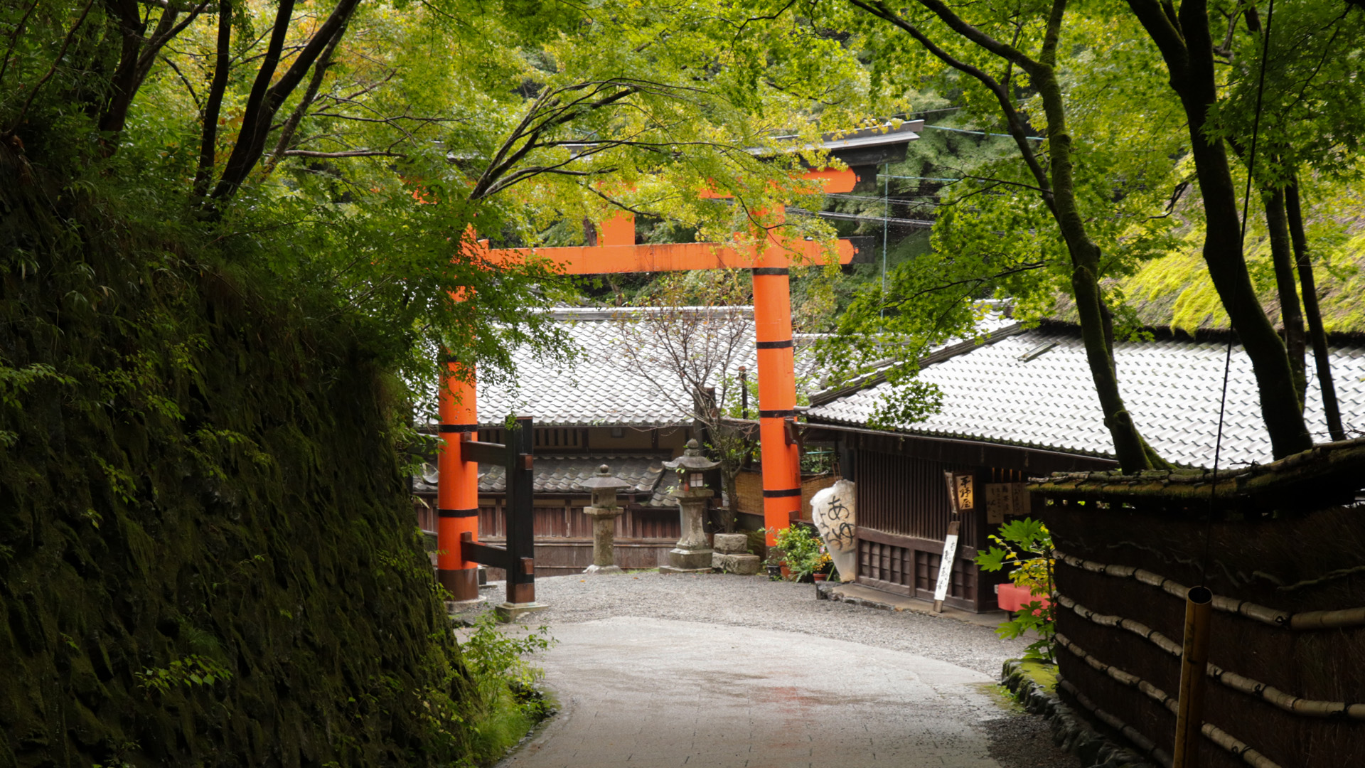Japan by Pablo de Mello