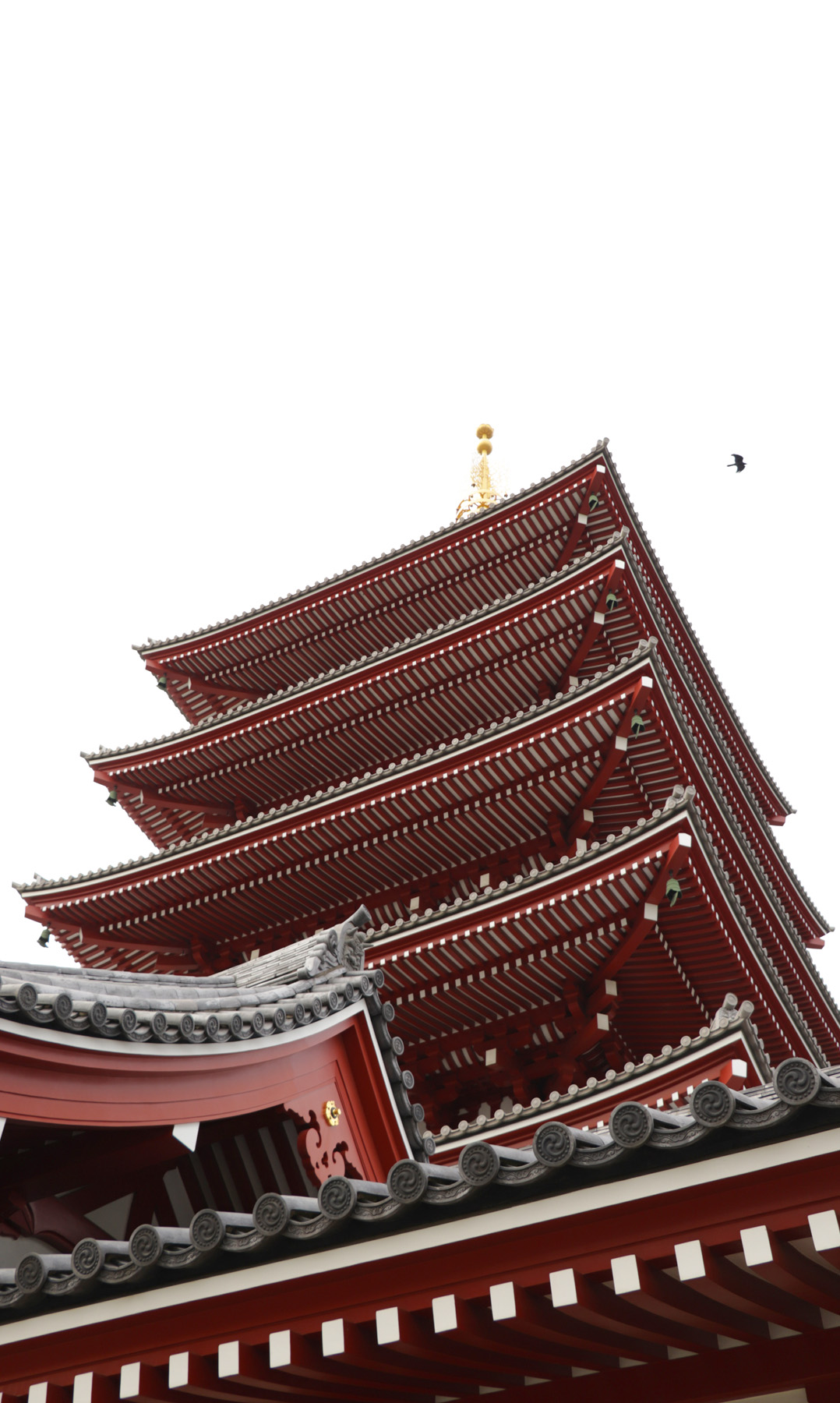 Japan by Pablo de Mello
