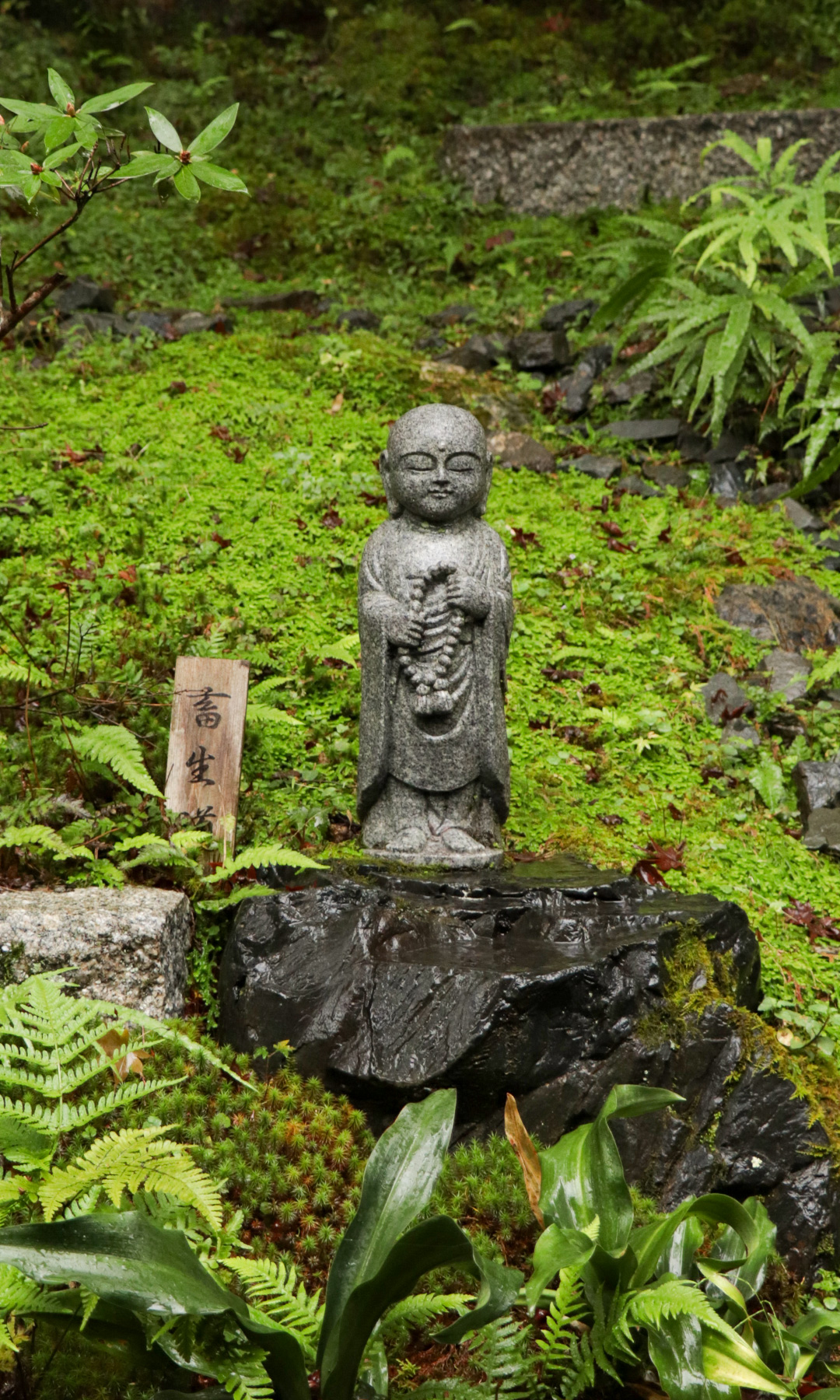 Japan by Pablo de Mello
