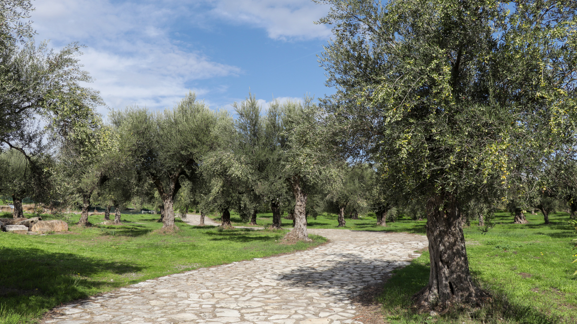 Greece by Pablo de Mello