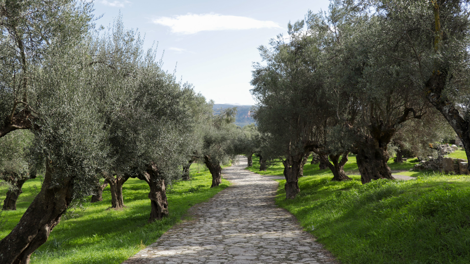 Greece by Pablo de Mello