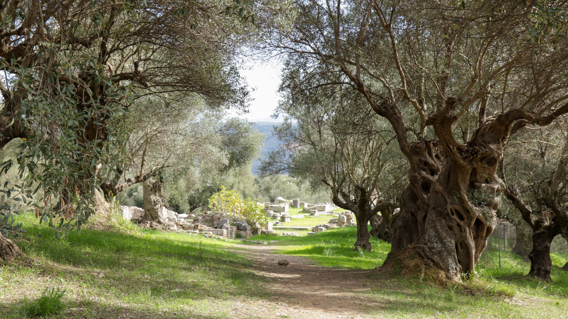 Greece by Pablo de Mello