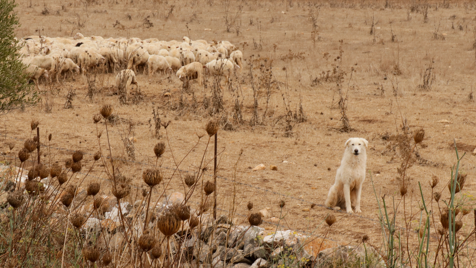 Sardinia by Pablo de Mello