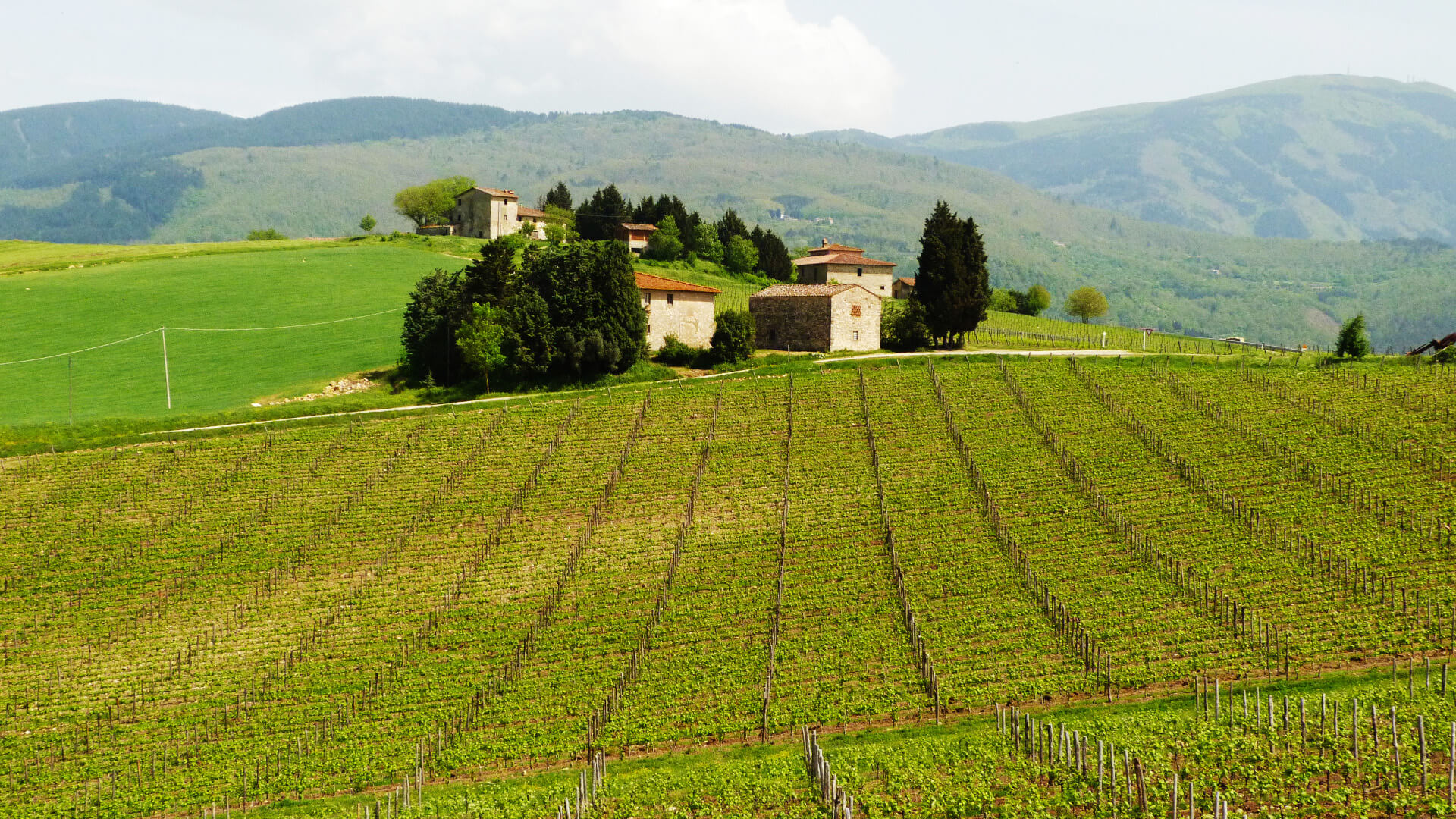 Landscape