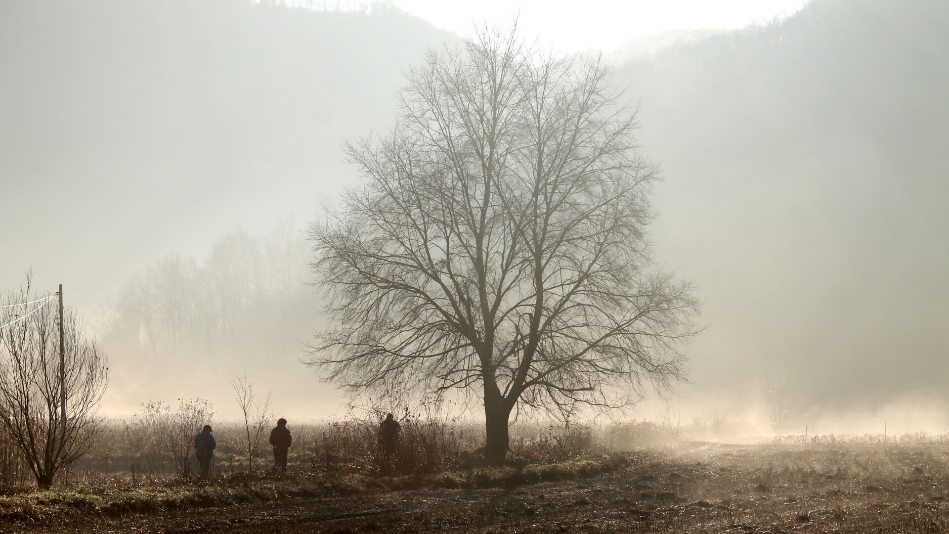 Landscape