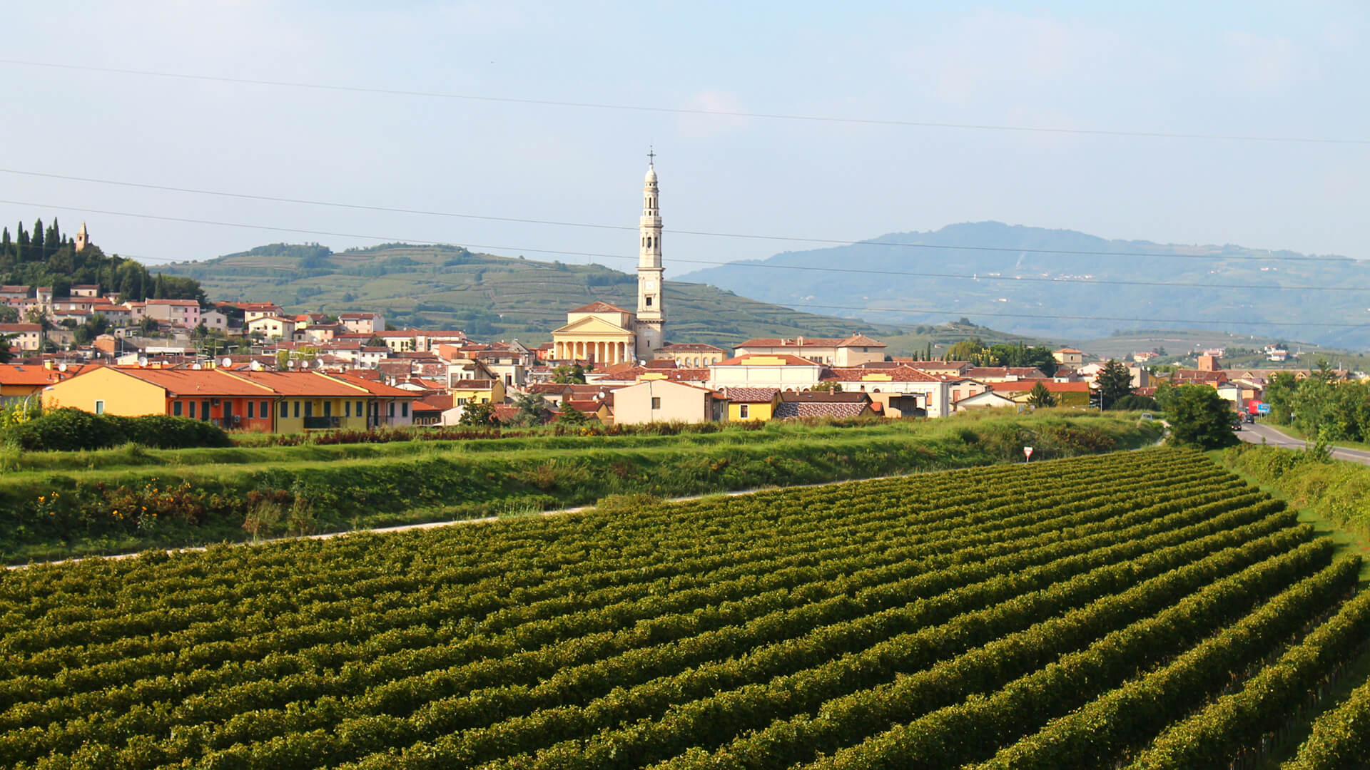 Landscape