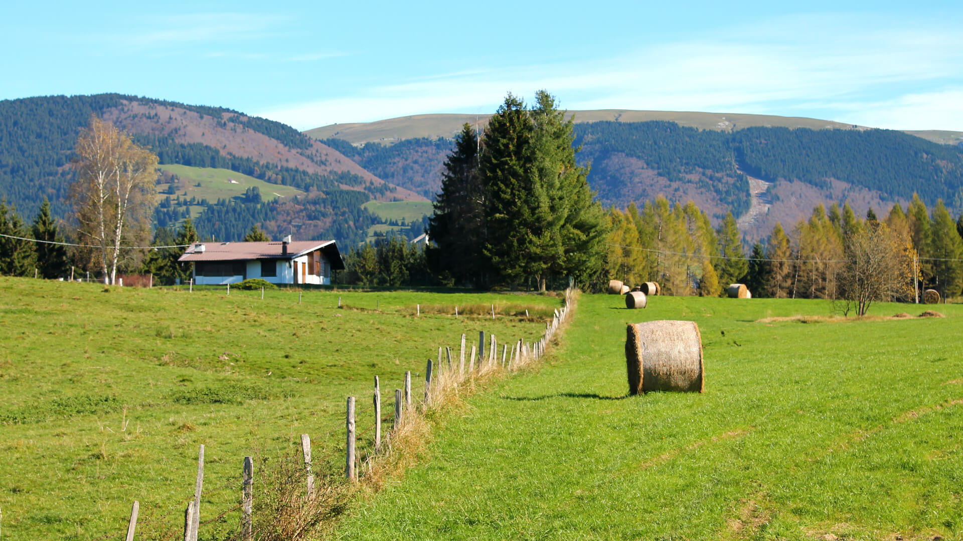 Landscape