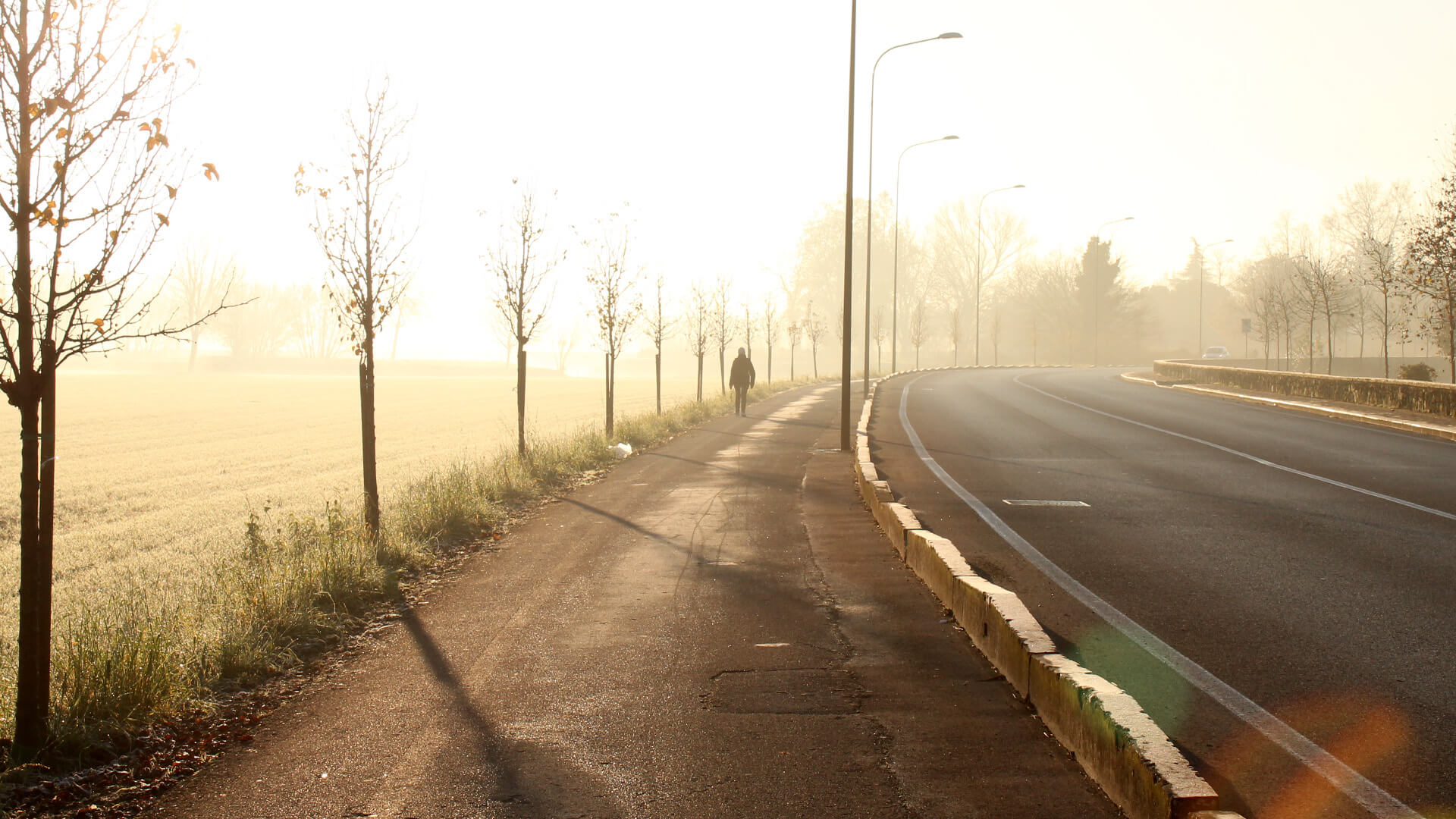 Landscape