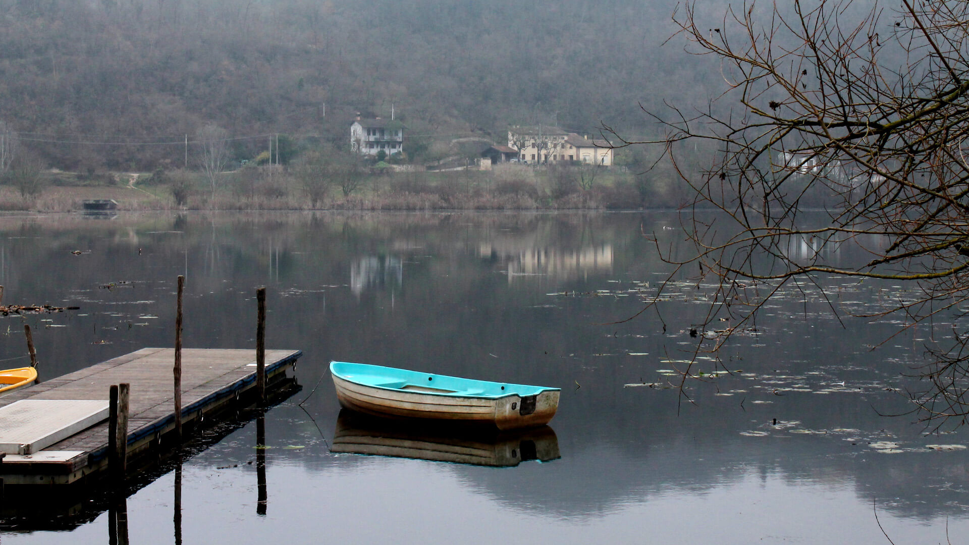 Landscape