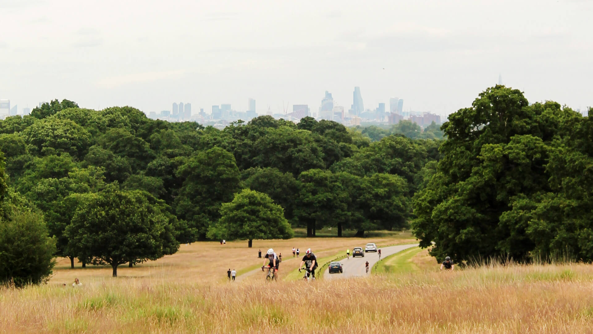 Landscape