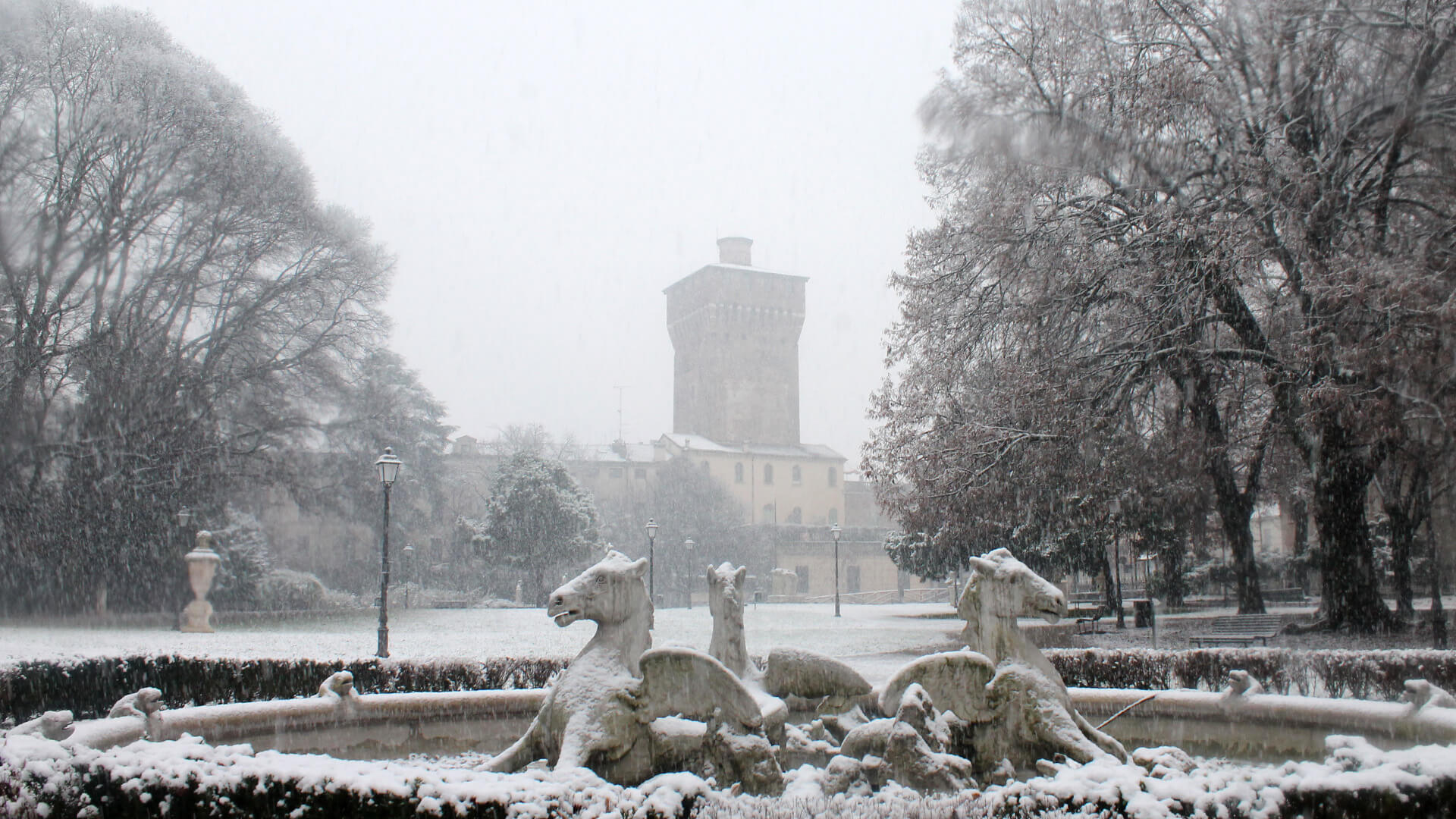 Winter